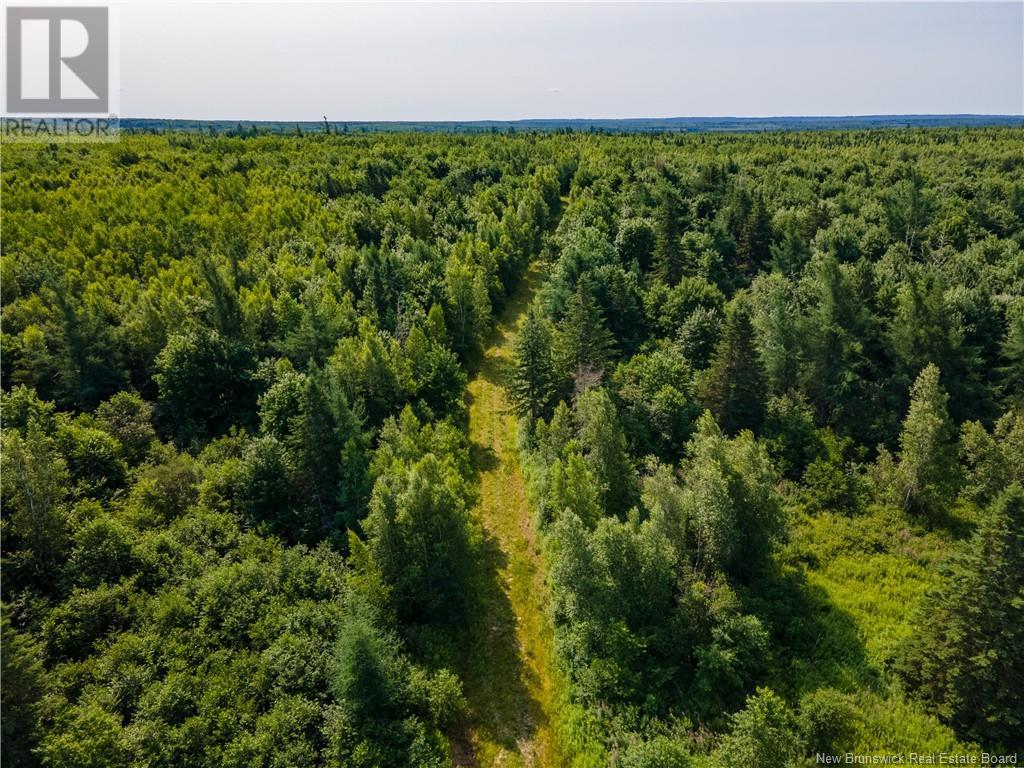 Lot Cormier Settlement Road