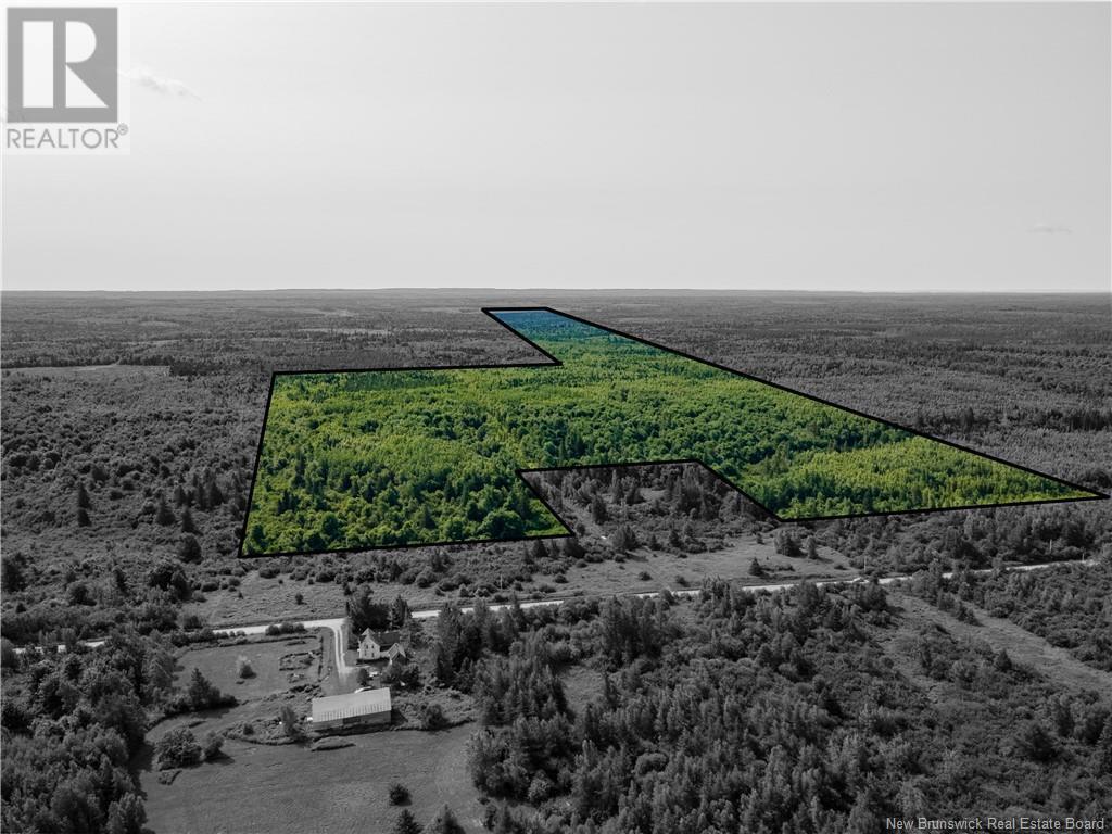 Lot Cormier Settlement Road