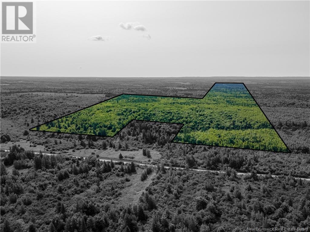 Lot Cormier Settlement Road