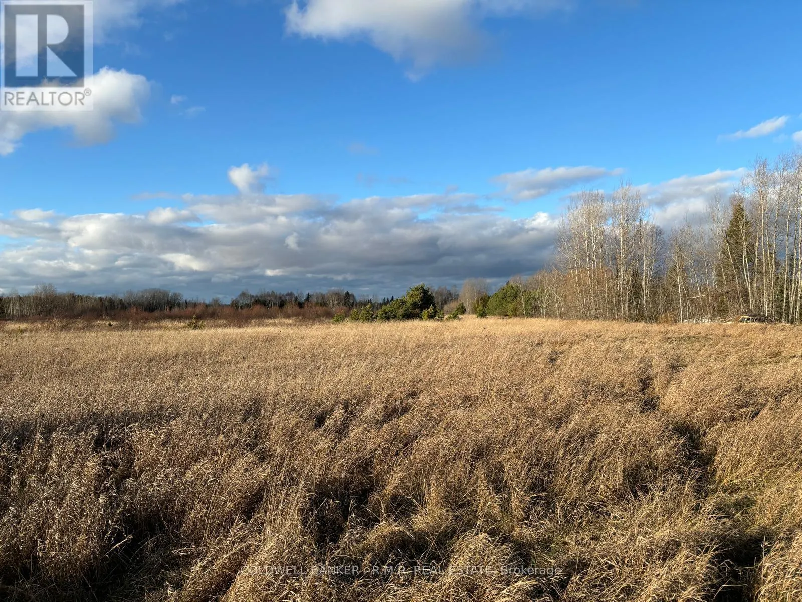 B1995 CONCESSION 7 ROAD E