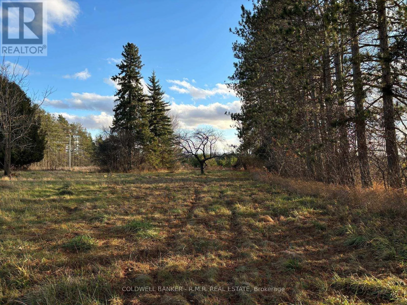 B1995 CONCESSION 7 ROAD E