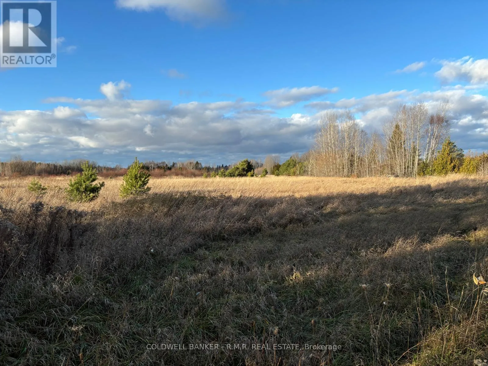 B1995 CONCESSION 7 ROAD E