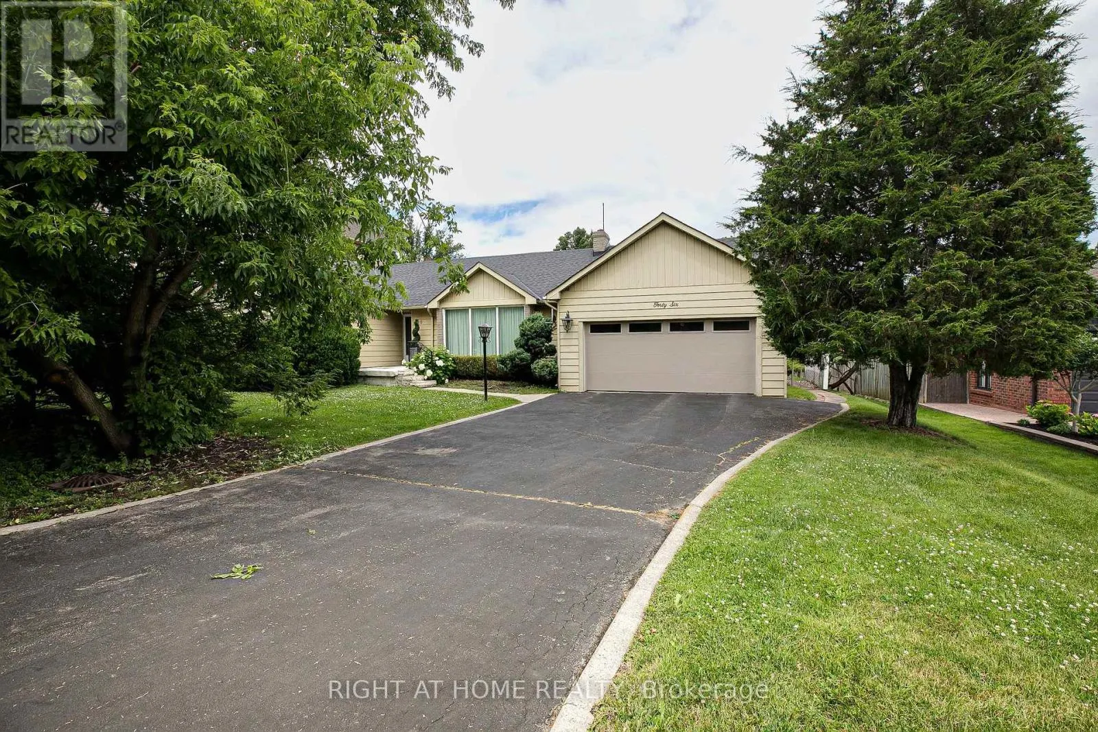 46 ROOSEVELT DRIVE