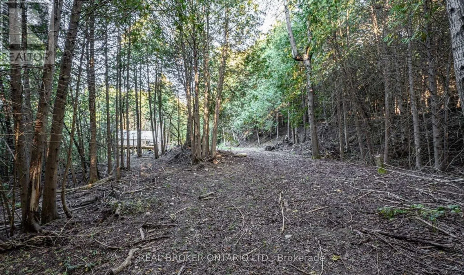 5703 10TH SIDE ROAD