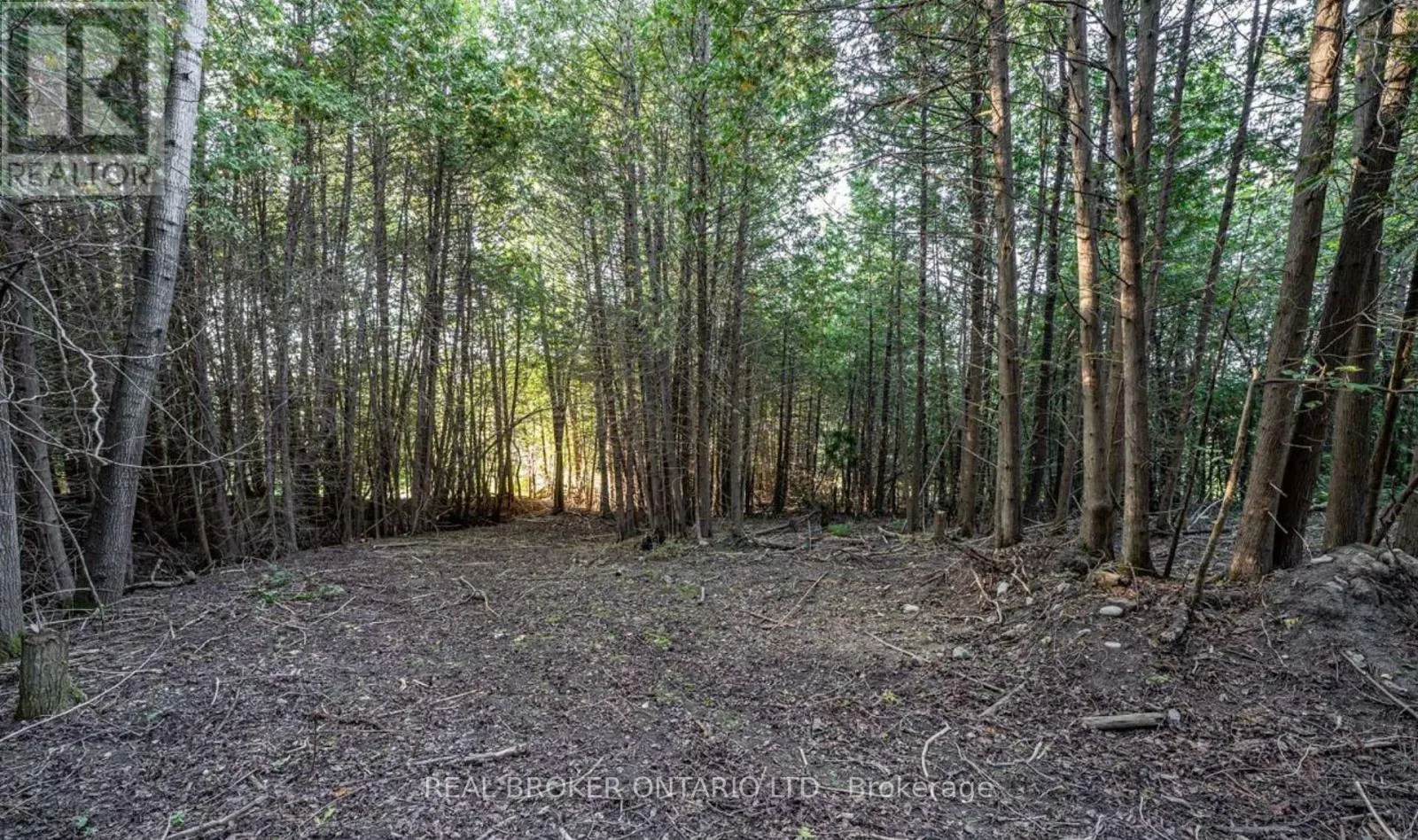 5703 10TH SIDE ROAD