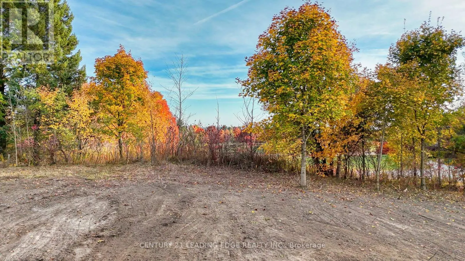 1470 CONCESSION 4 ROAD