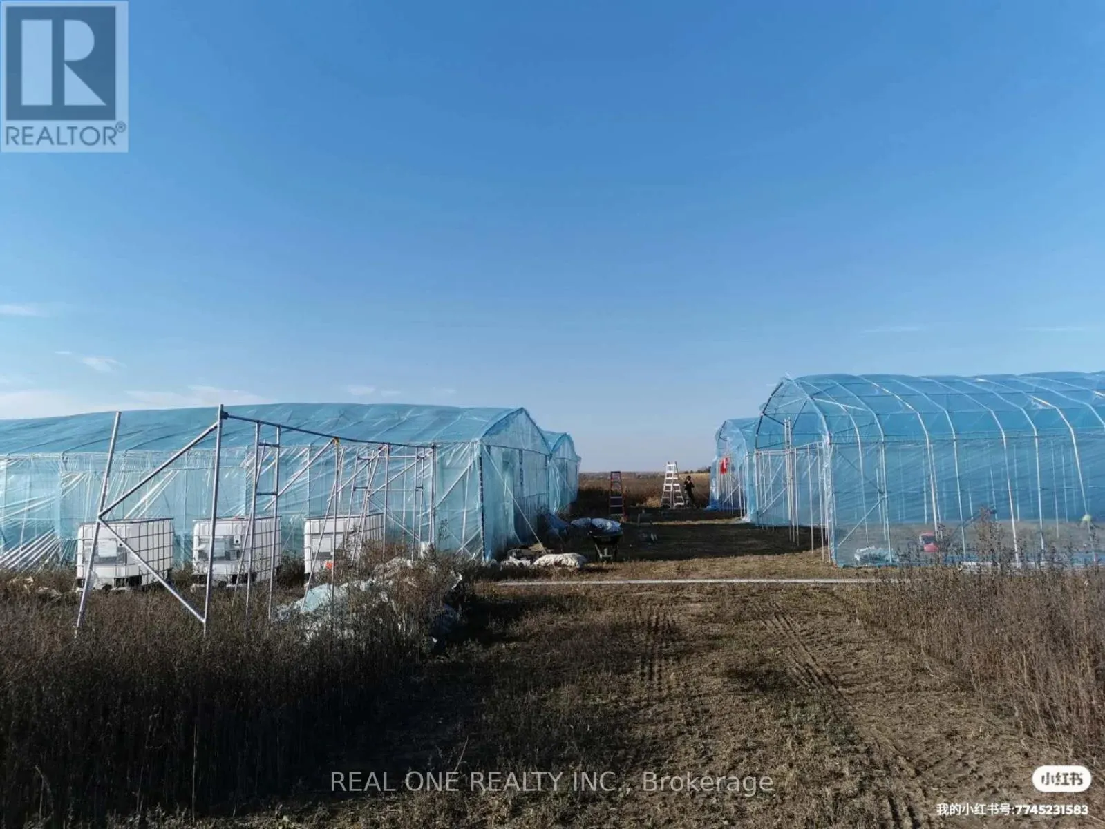 2065B THORAH CONCESSION RD 4 ROAD
