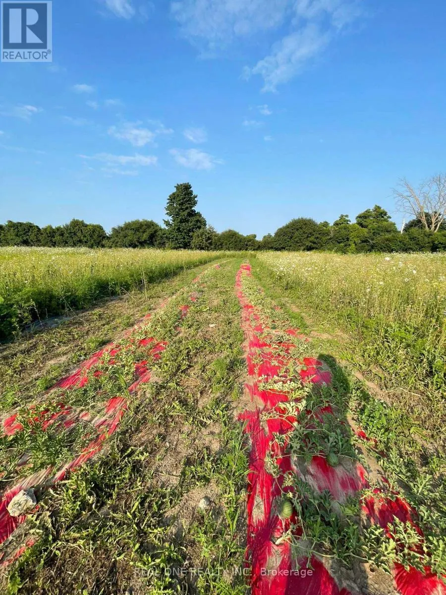 2065B THORAH CONCESSION RD 4 ROAD