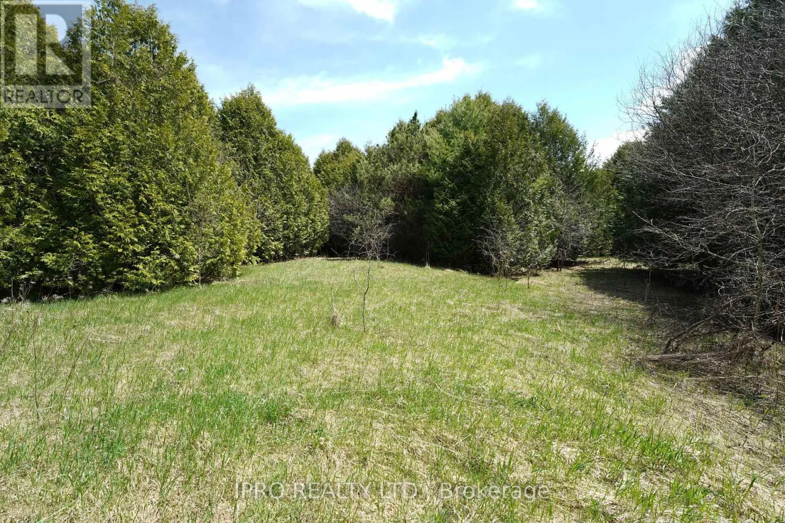 384 ZEPHYR ROAD