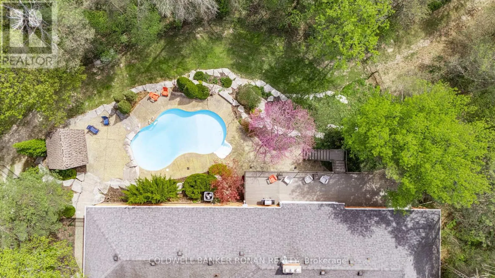 3 PYNE HILLS COURT