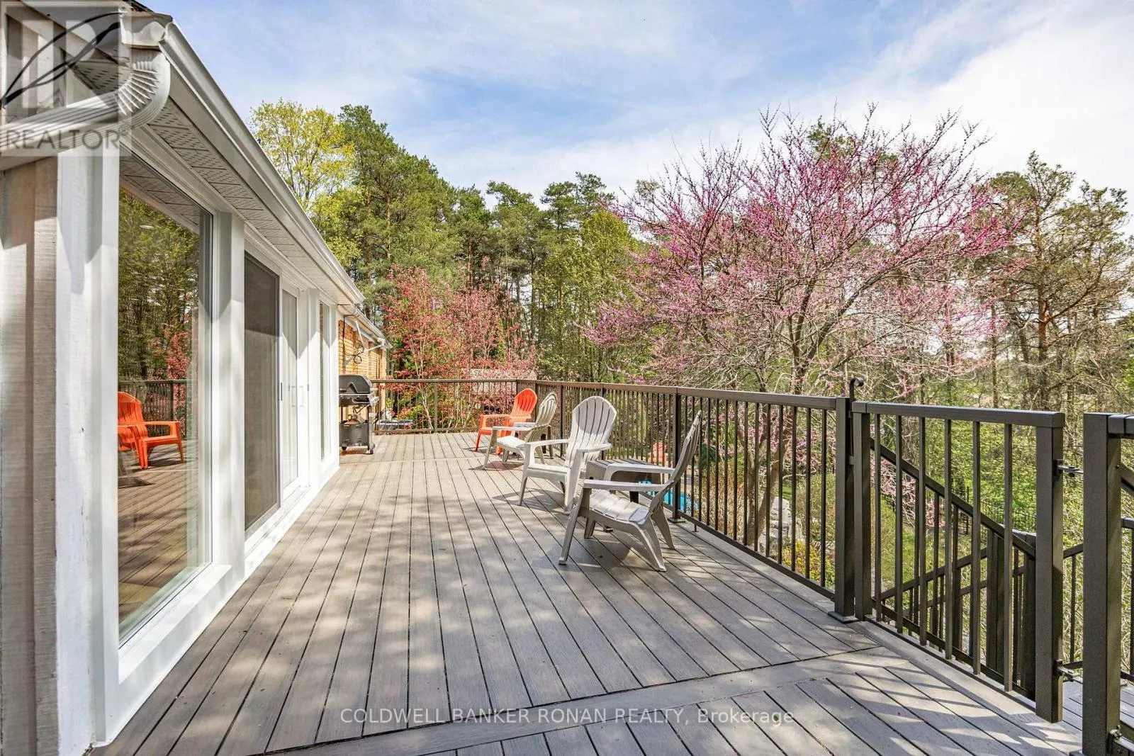 3 PYNE HILLS COURT