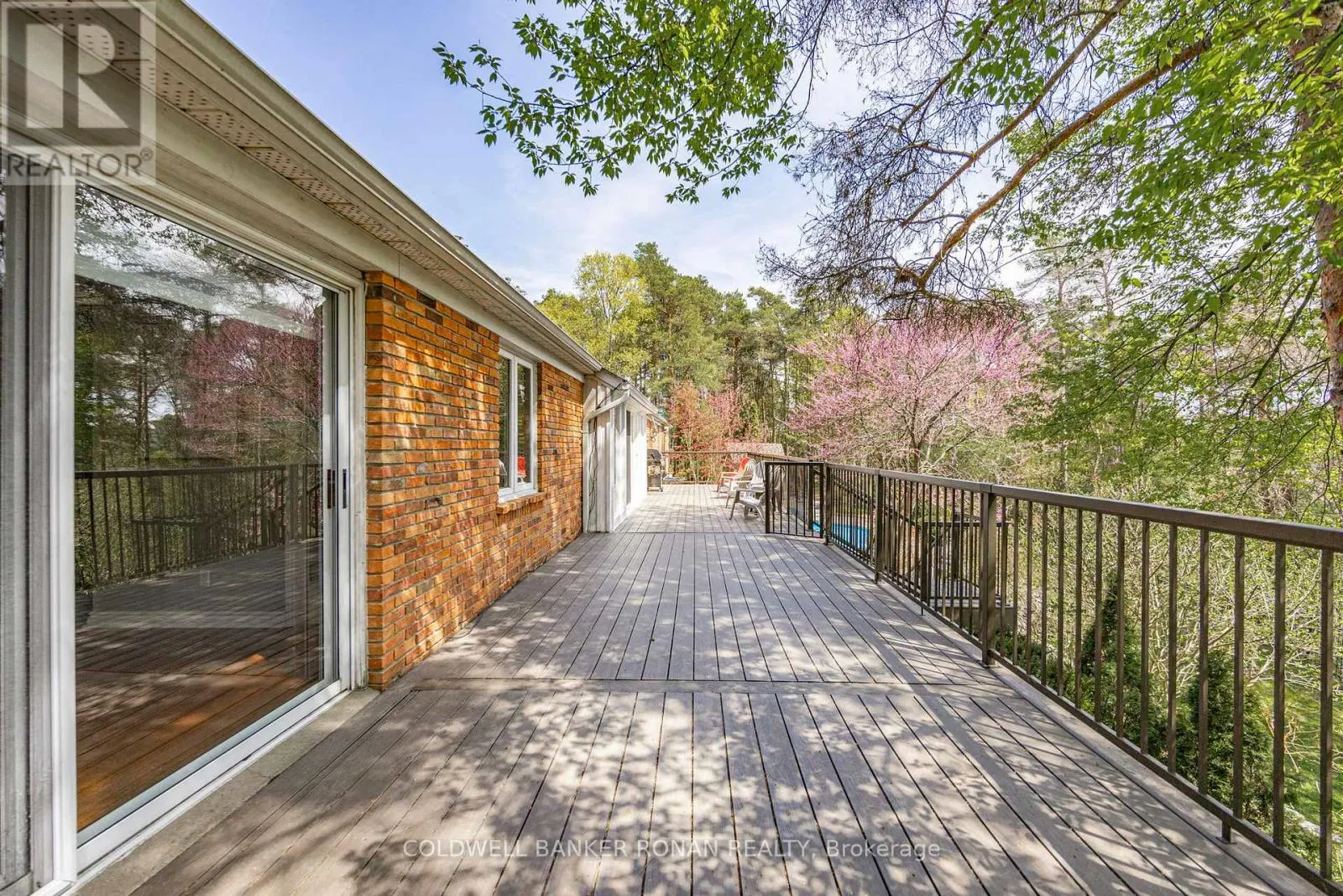 3 PYNE HILLS COURT