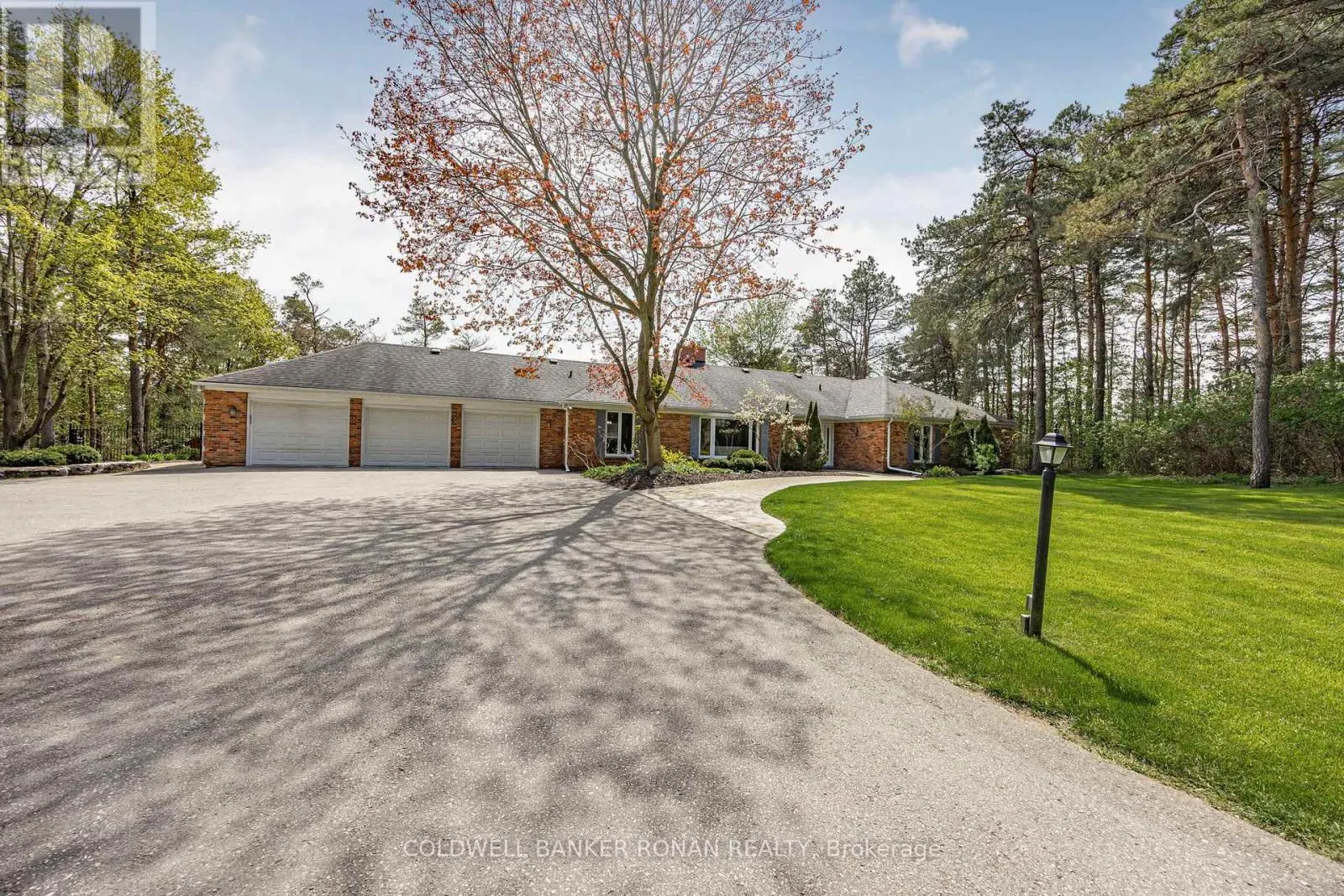 3 PYNE HILLS COURT