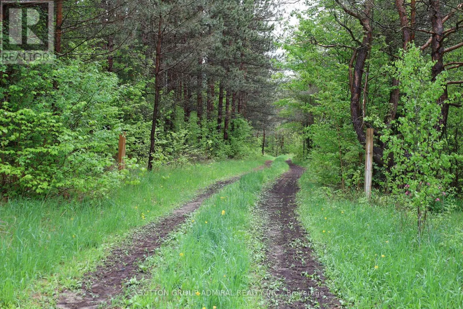 337 REGIONAL RD. 8 ROAD