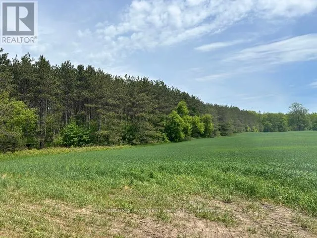 337 REGIONAL RD. 8 ROAD