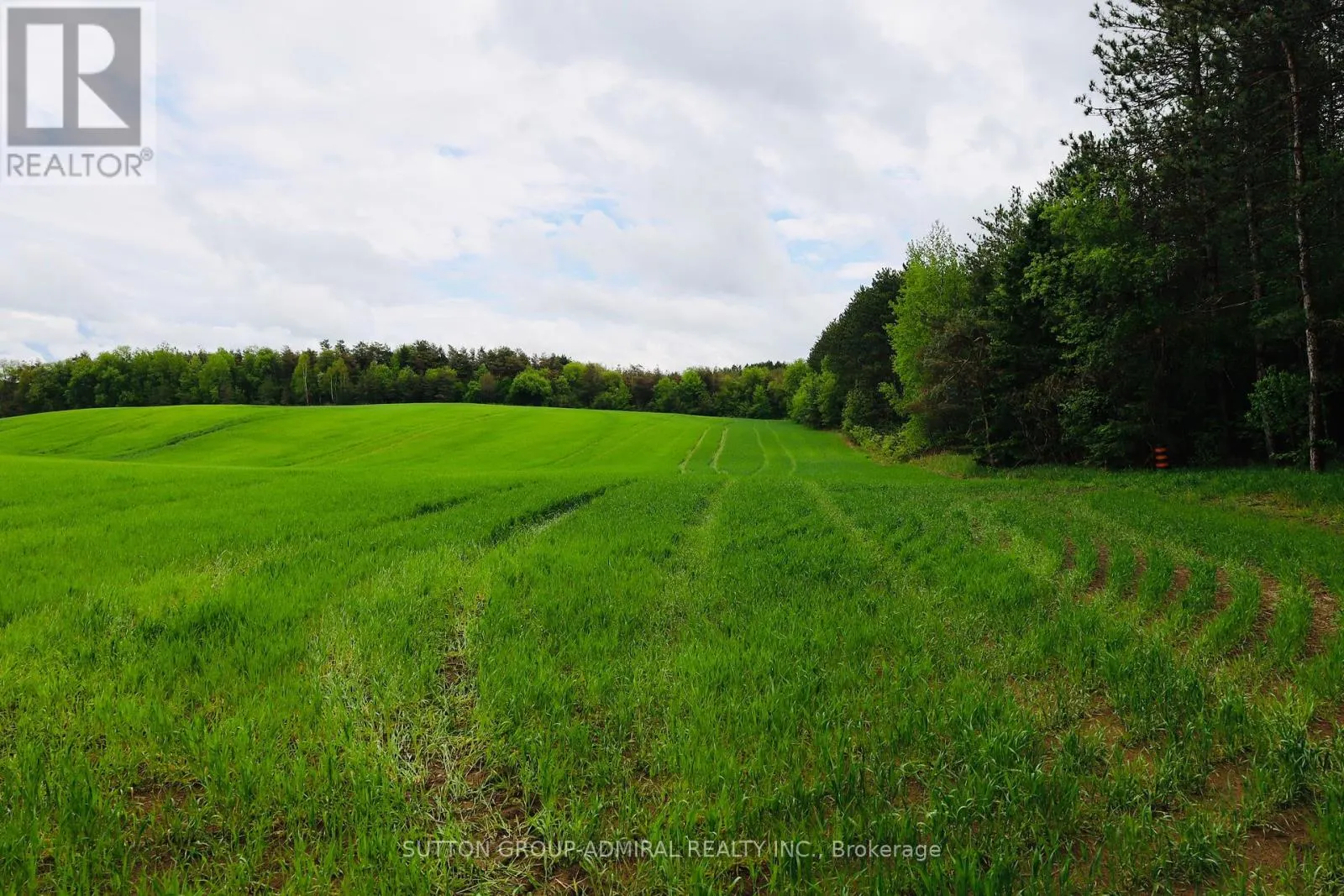 337 REGIONAL RD. 8 ROAD