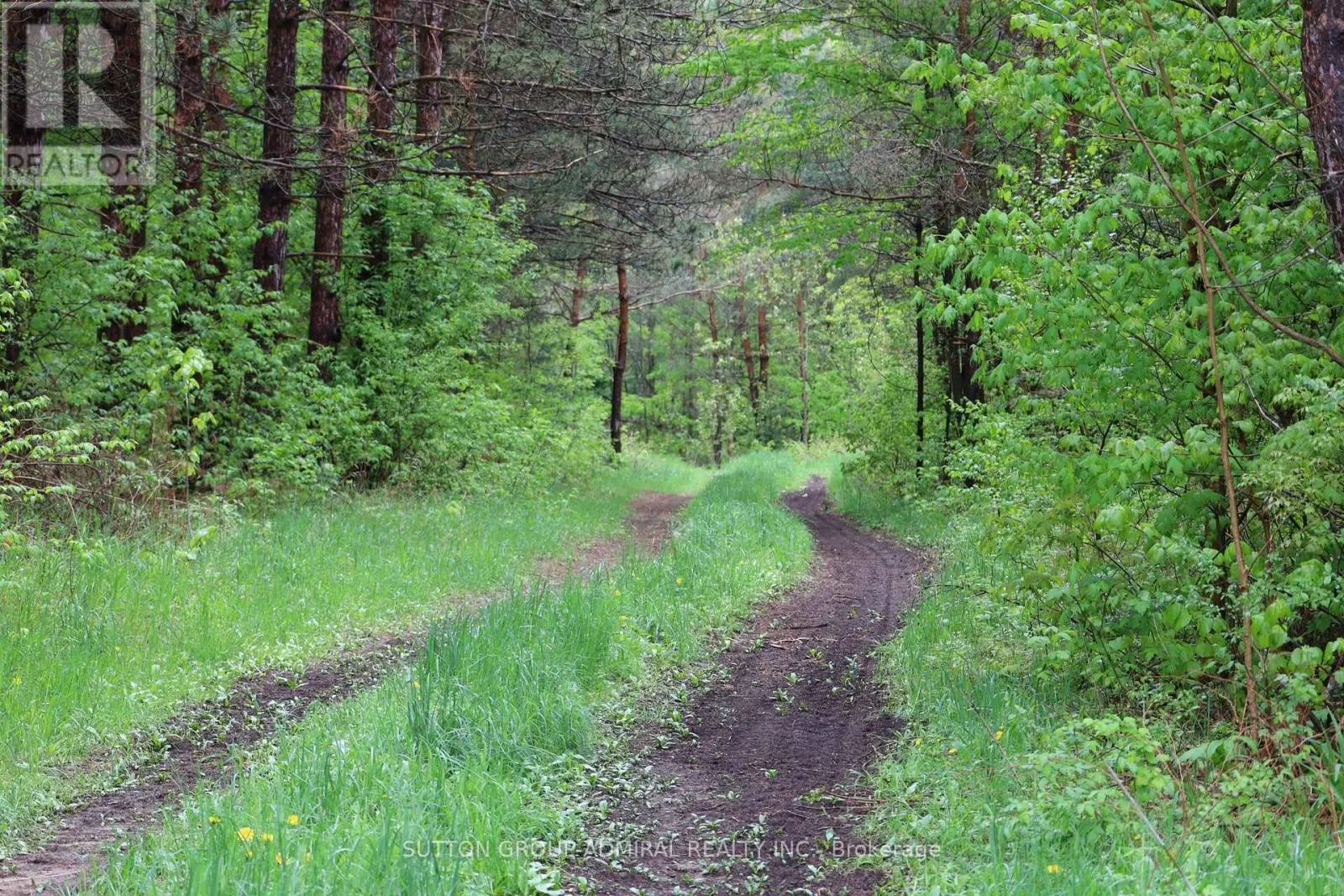 337 REGIONAL RD. 8 ROAD