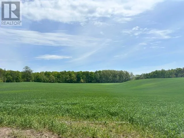337 REGIONAL RD. 8 ROAD