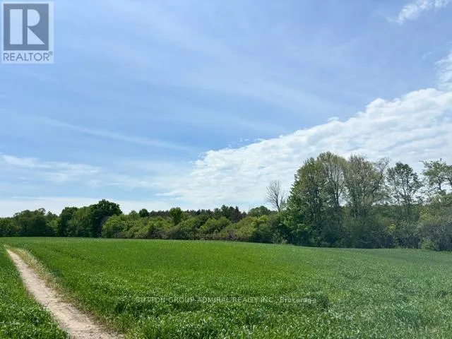 337 REGIONAL RD. 8 ROAD