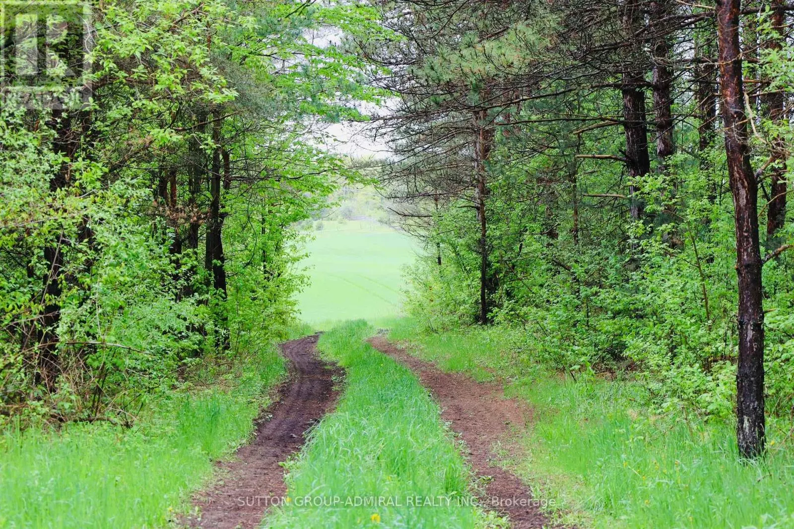 337 REGIONAL RD. 8 ROAD