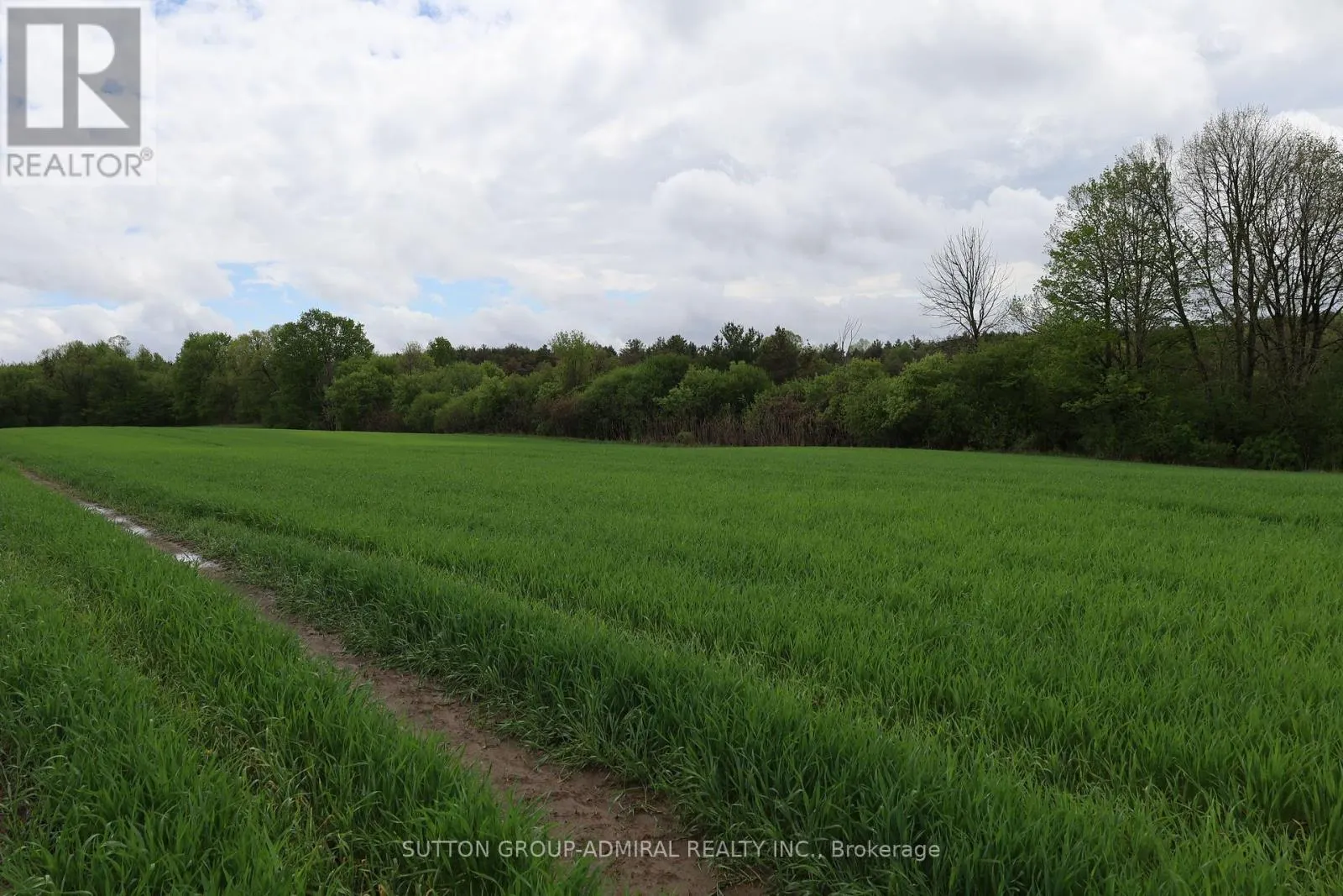 337 REGIONAL RD. 8 ROAD