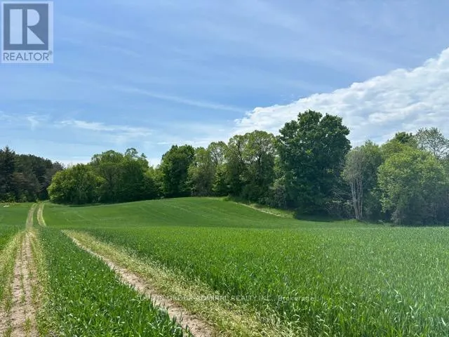 337 REGIONAL RD. 8 ROAD