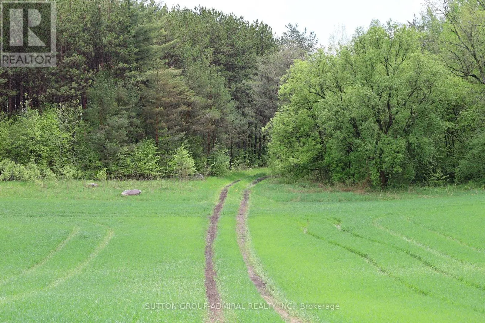 337 REGIONAL RD. 8 ROAD