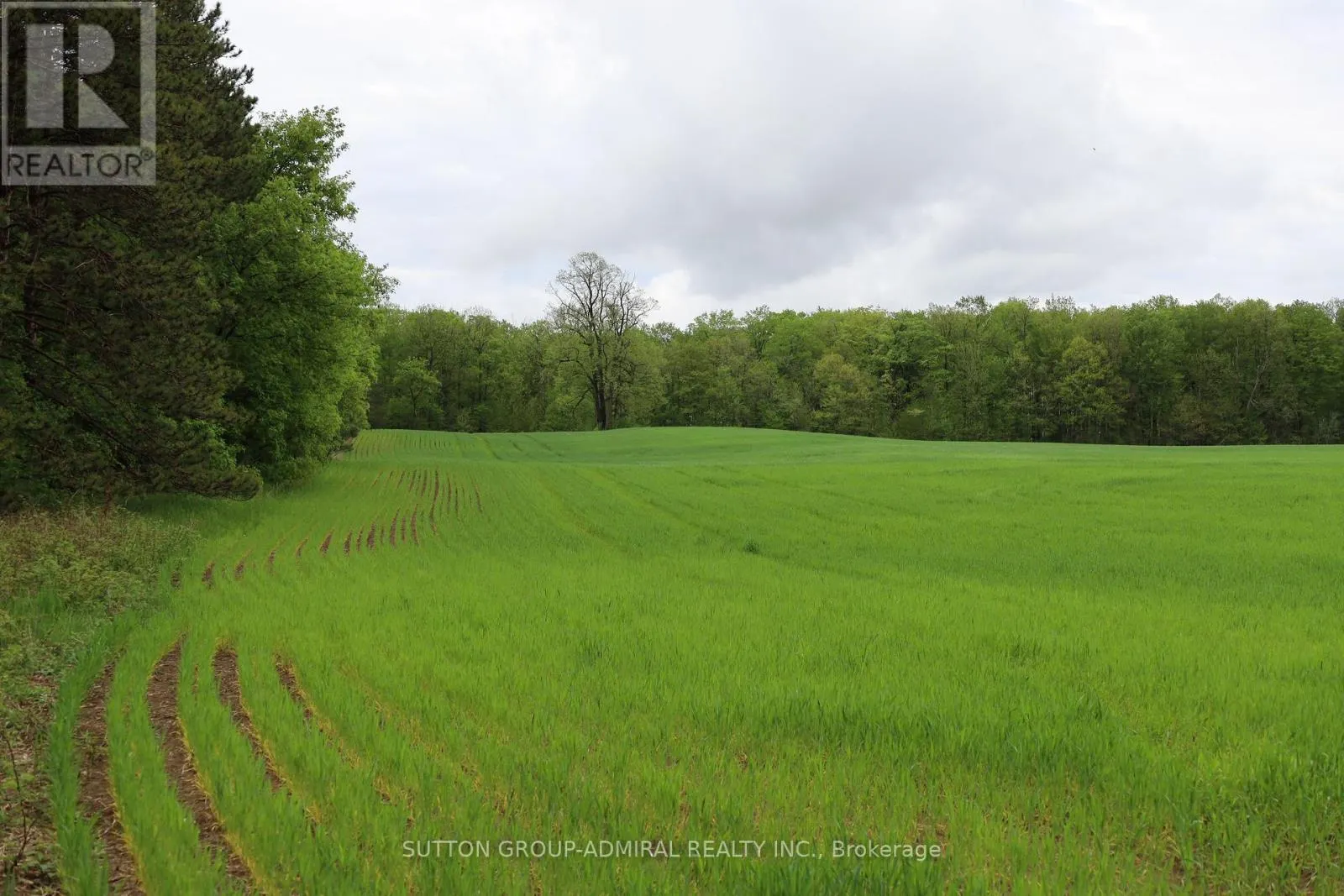 337 REGIONAL RD. 8 ROAD