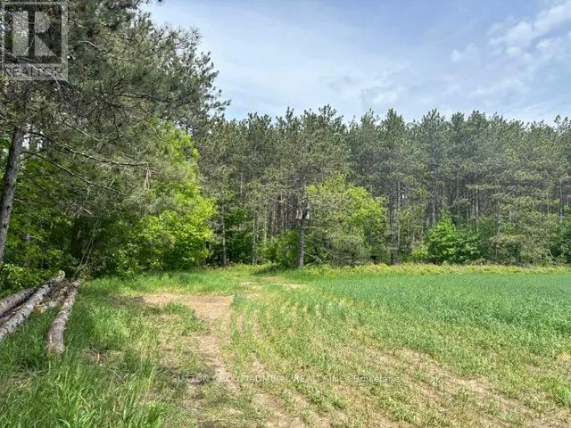 337 REGIONAL RD. 8 ROAD