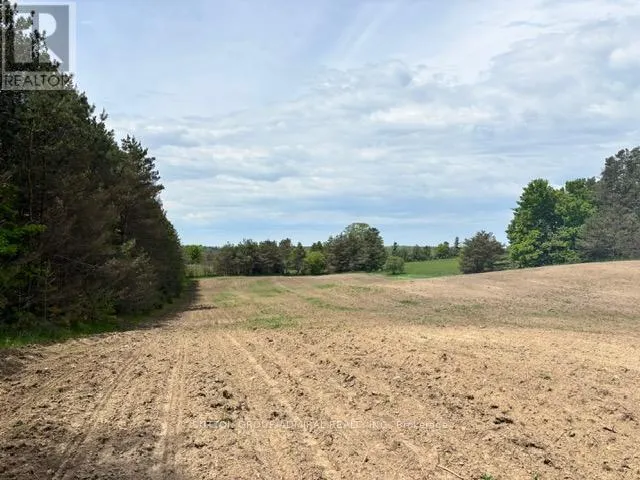 337 REGIONAL RD. 8 ROAD