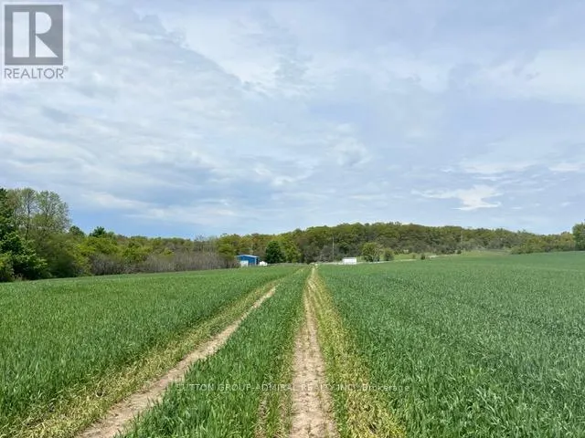 337 REGIONAL RD. 8 ROAD