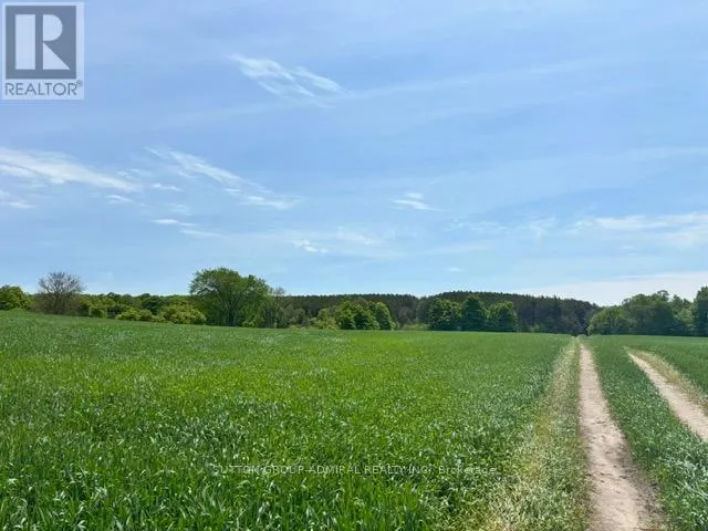 337 REGIONAL RD. 8 ROAD