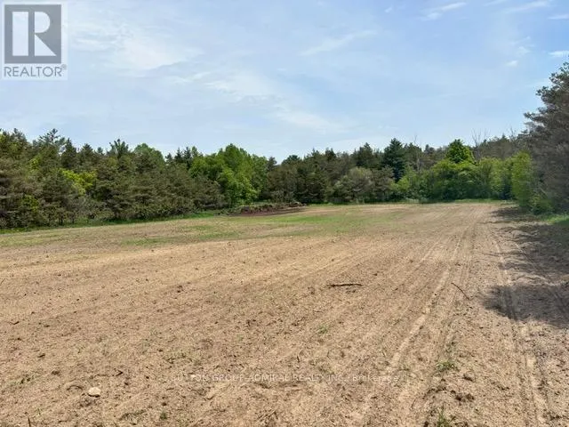 337 REGIONAL RD. 8 ROAD