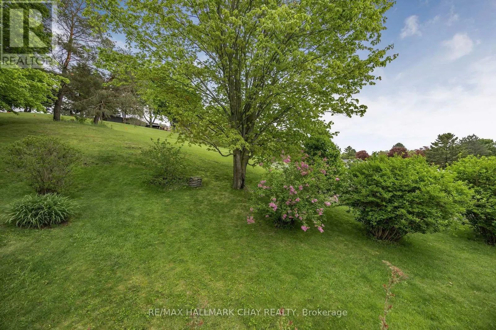 3 PINETREE COURT