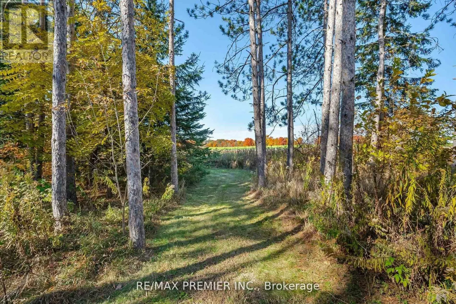 4904 10TH SIDE ROAD
