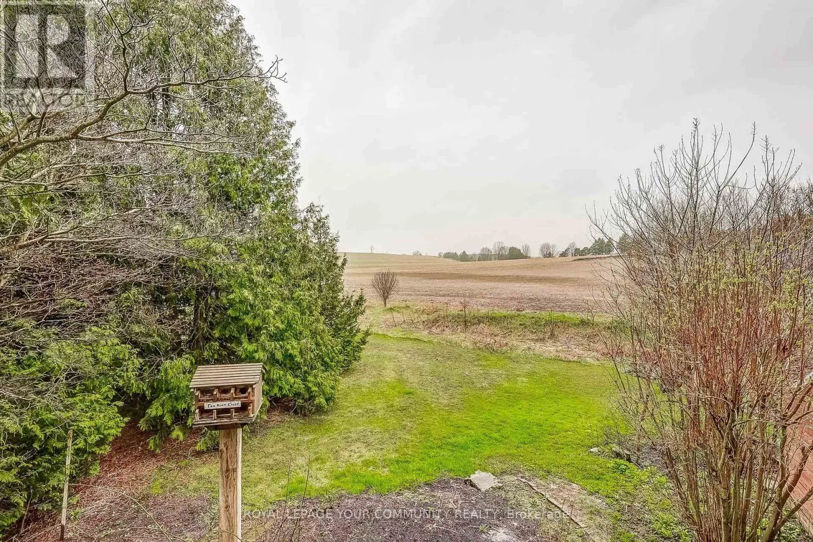 13020 CONCESSION ROAD 5