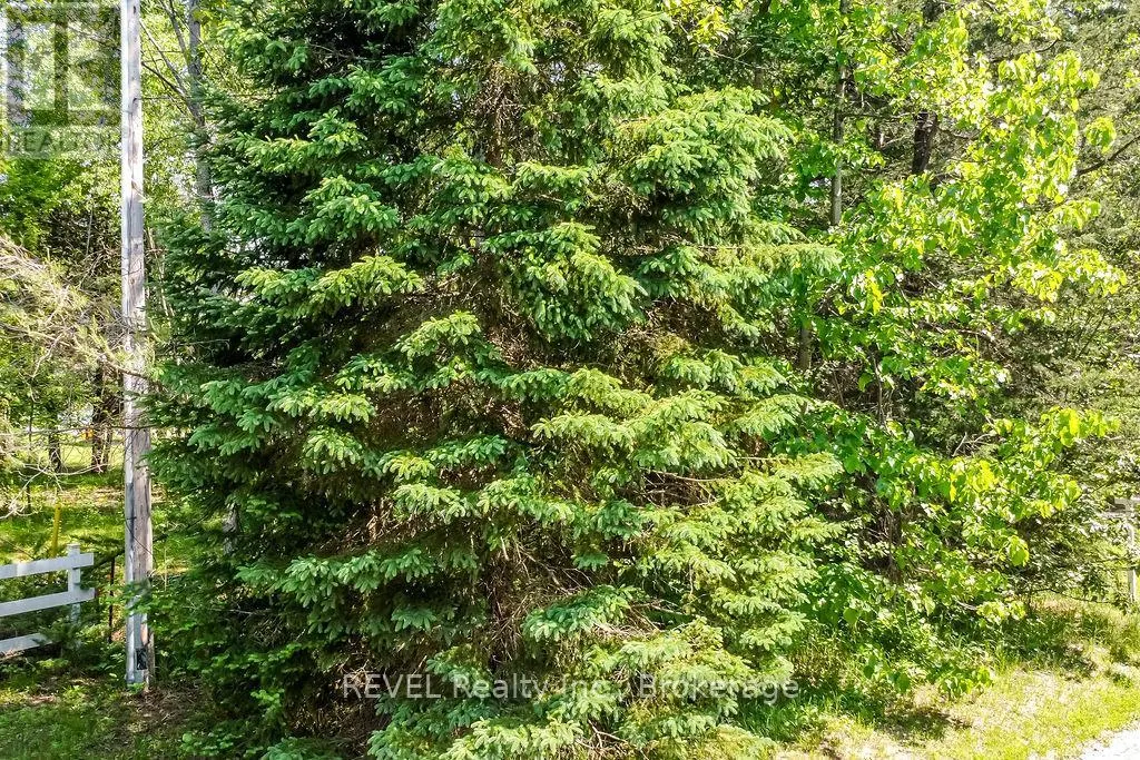 31 PINE RIVER ROAD