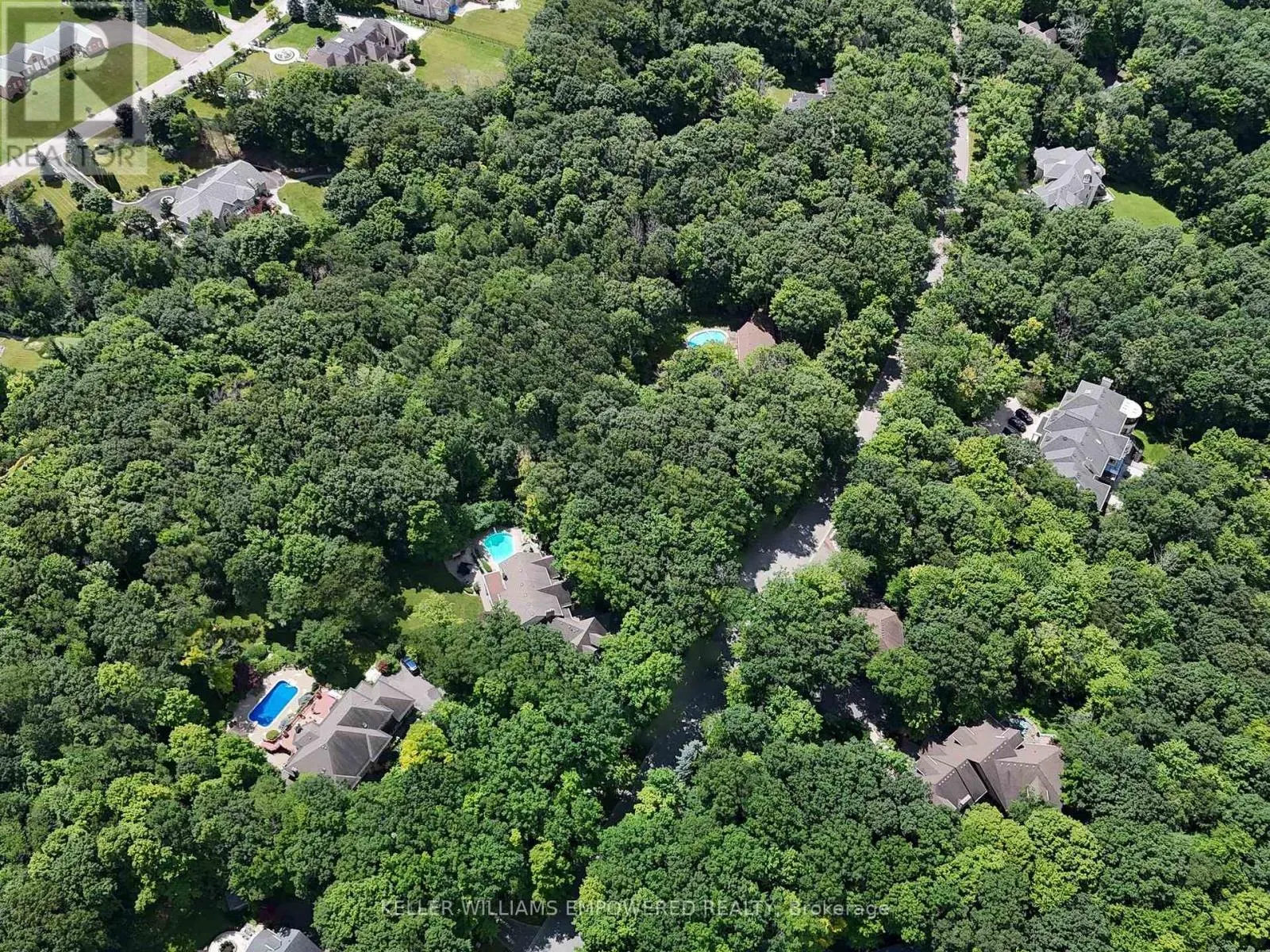 204 FOREST RIDGE ROAD