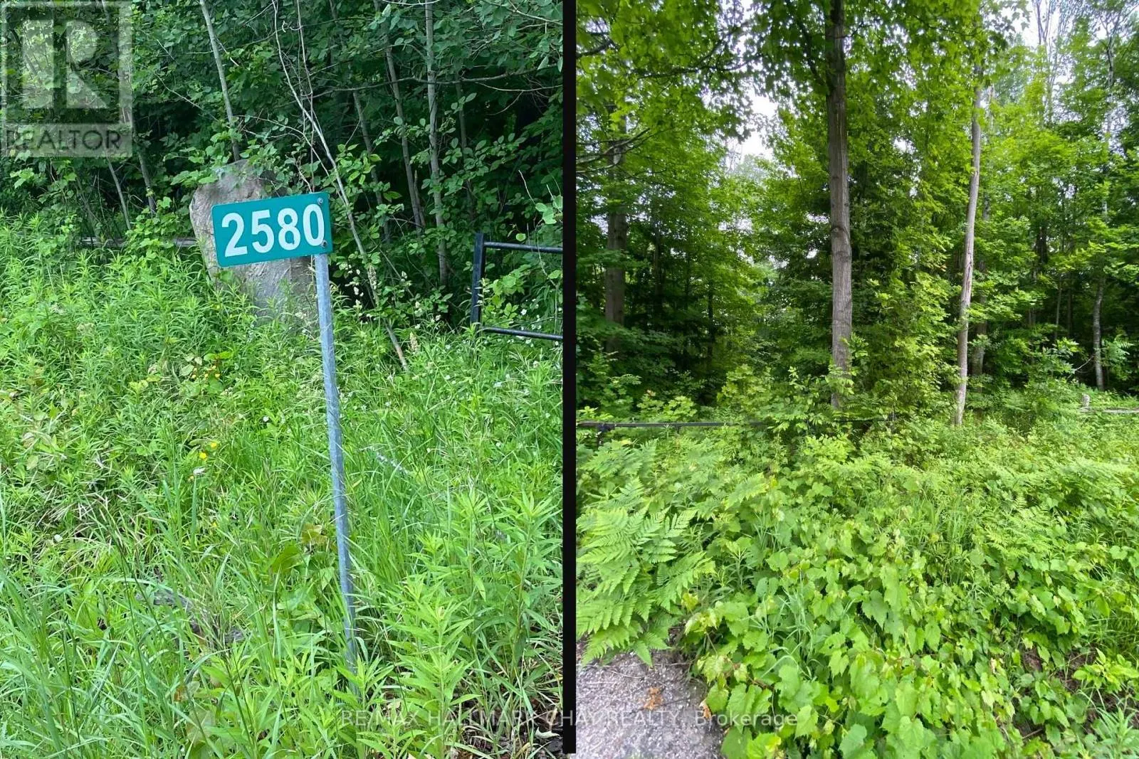 2580 6TH LINE
