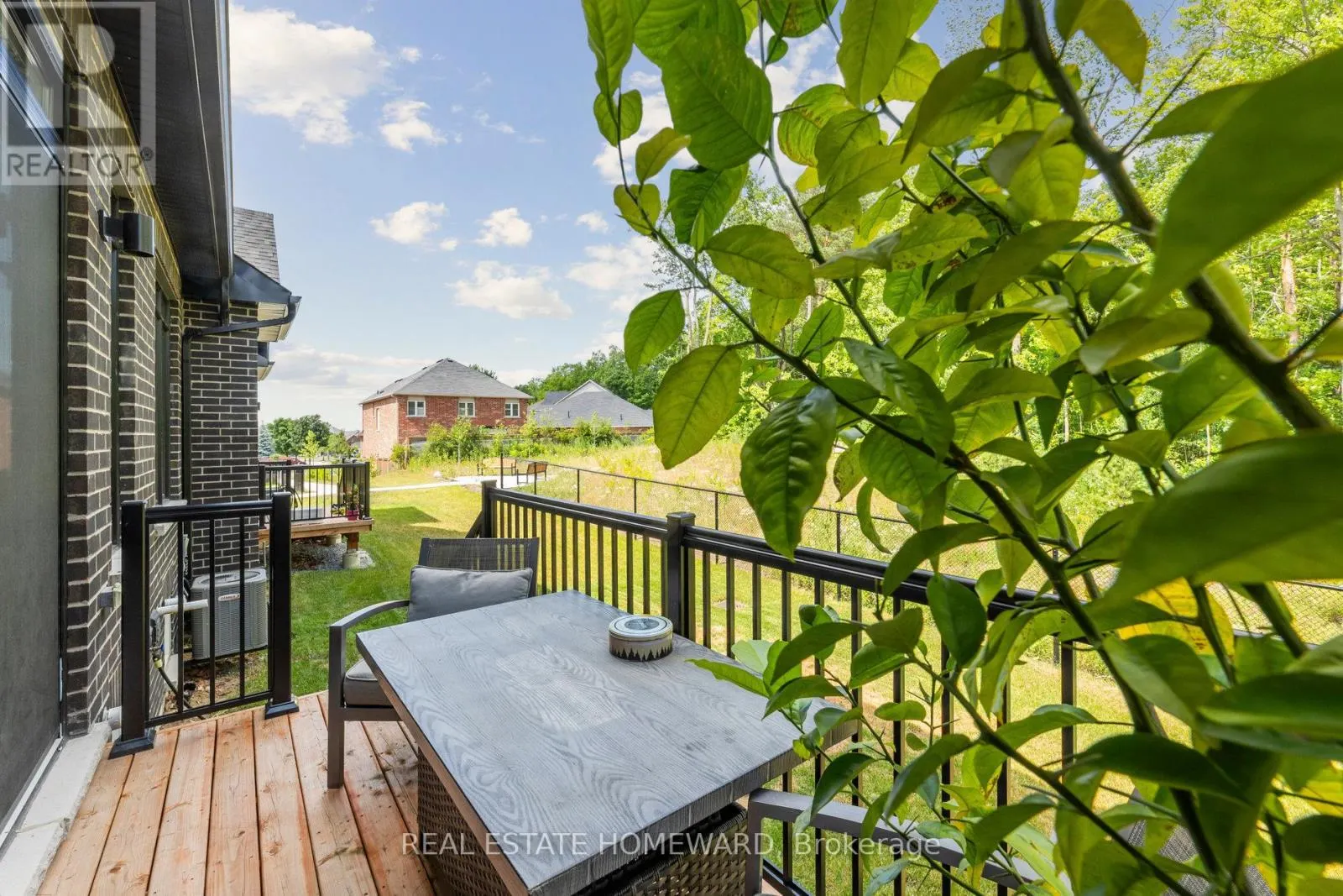 11 LOIS TORRANCE TRAIL