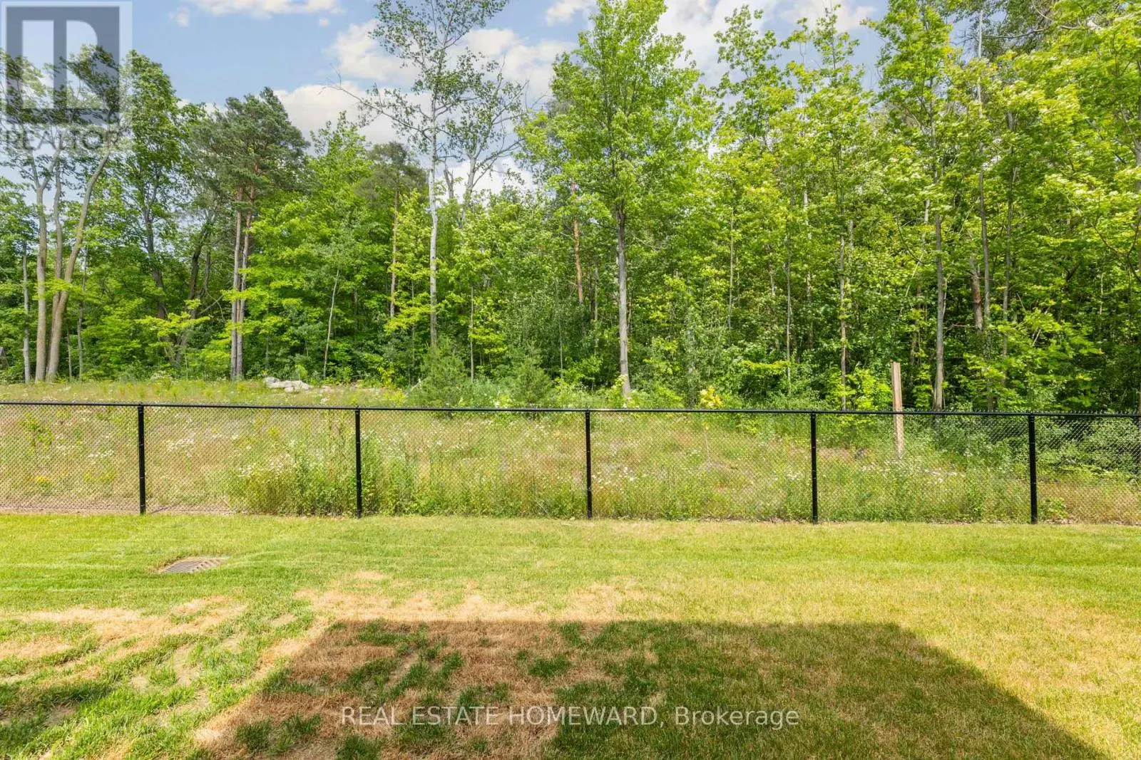 11 LOIS TORRANCE TRAIL