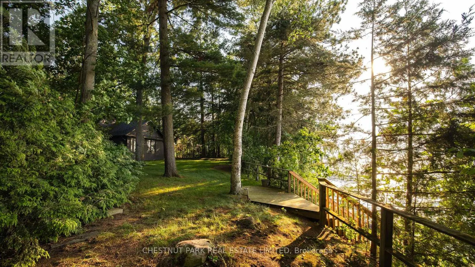 262 TRILLIUM PLACE