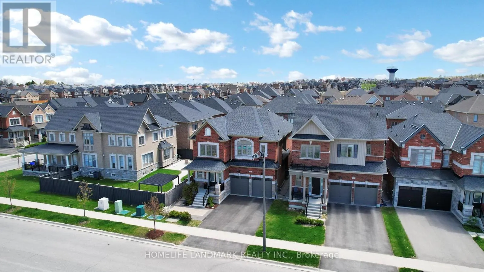 51 CRIMSON KING WAY