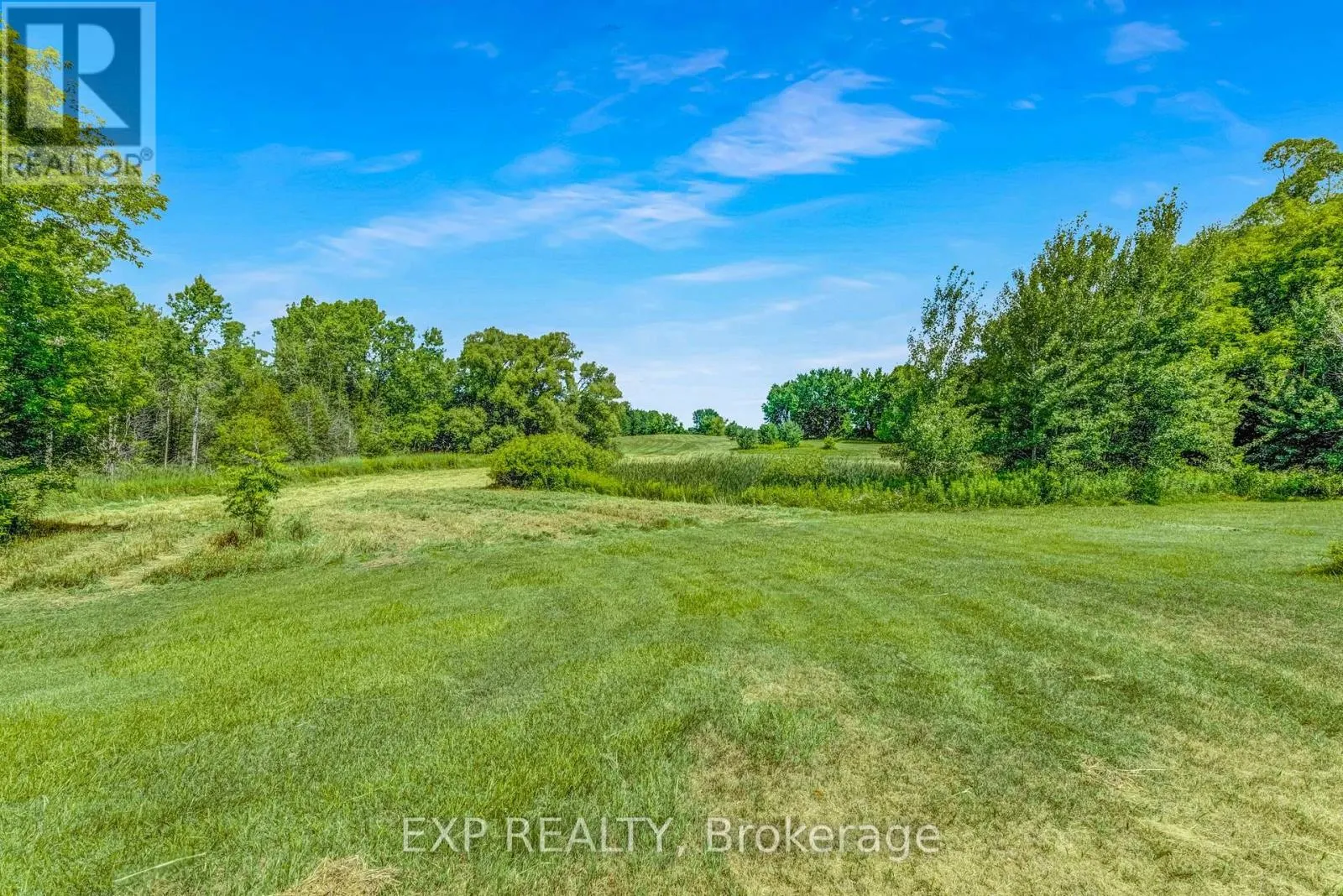 3990 MOUNT ALBERT ROAD