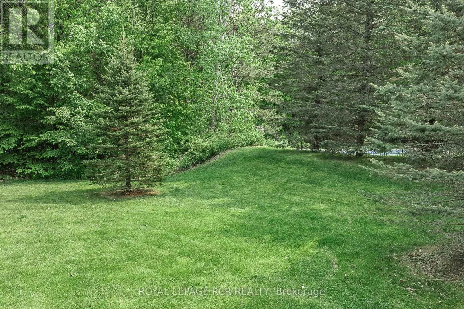 12 DEER RUN