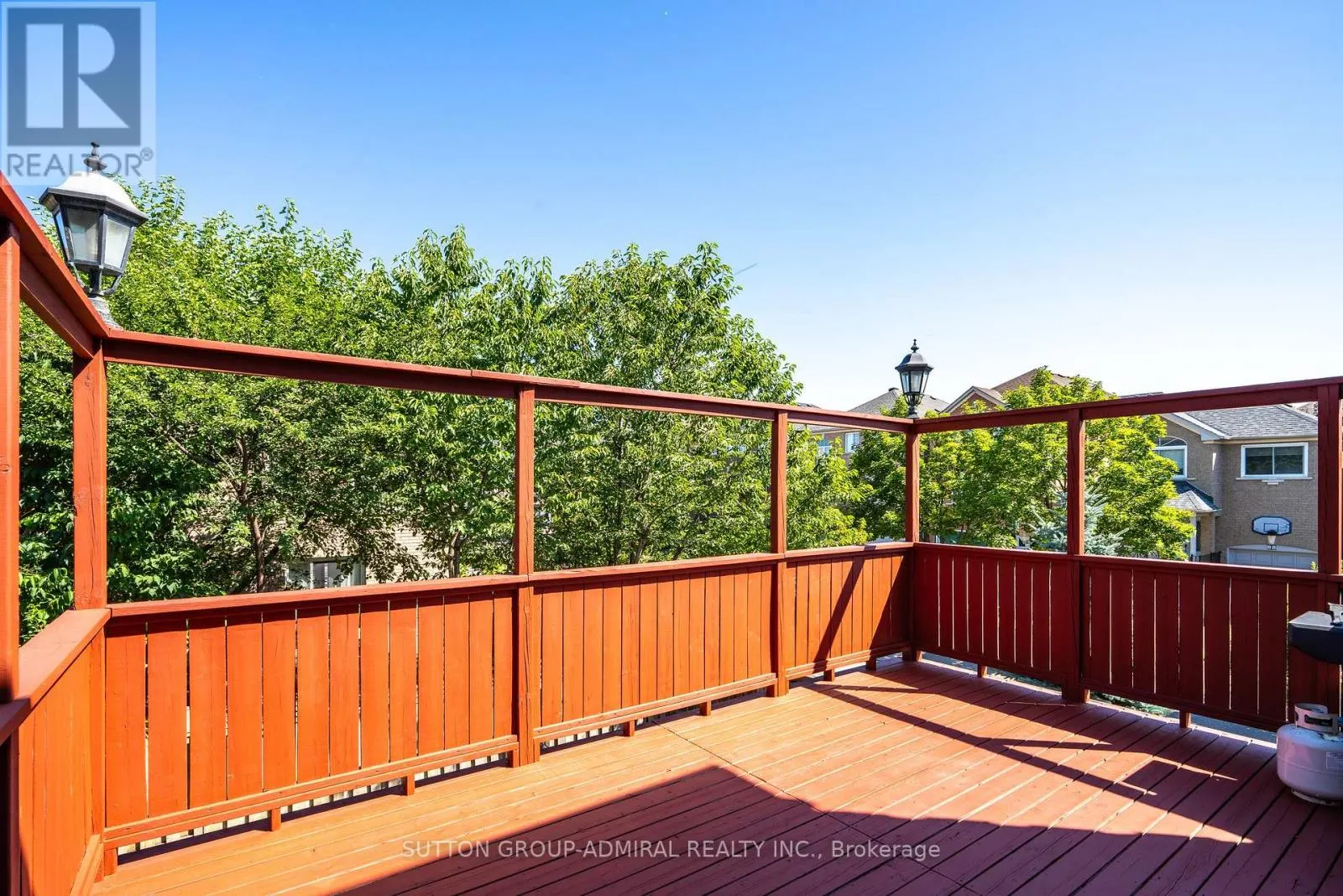 113 SASSAFRAS CIRCLE