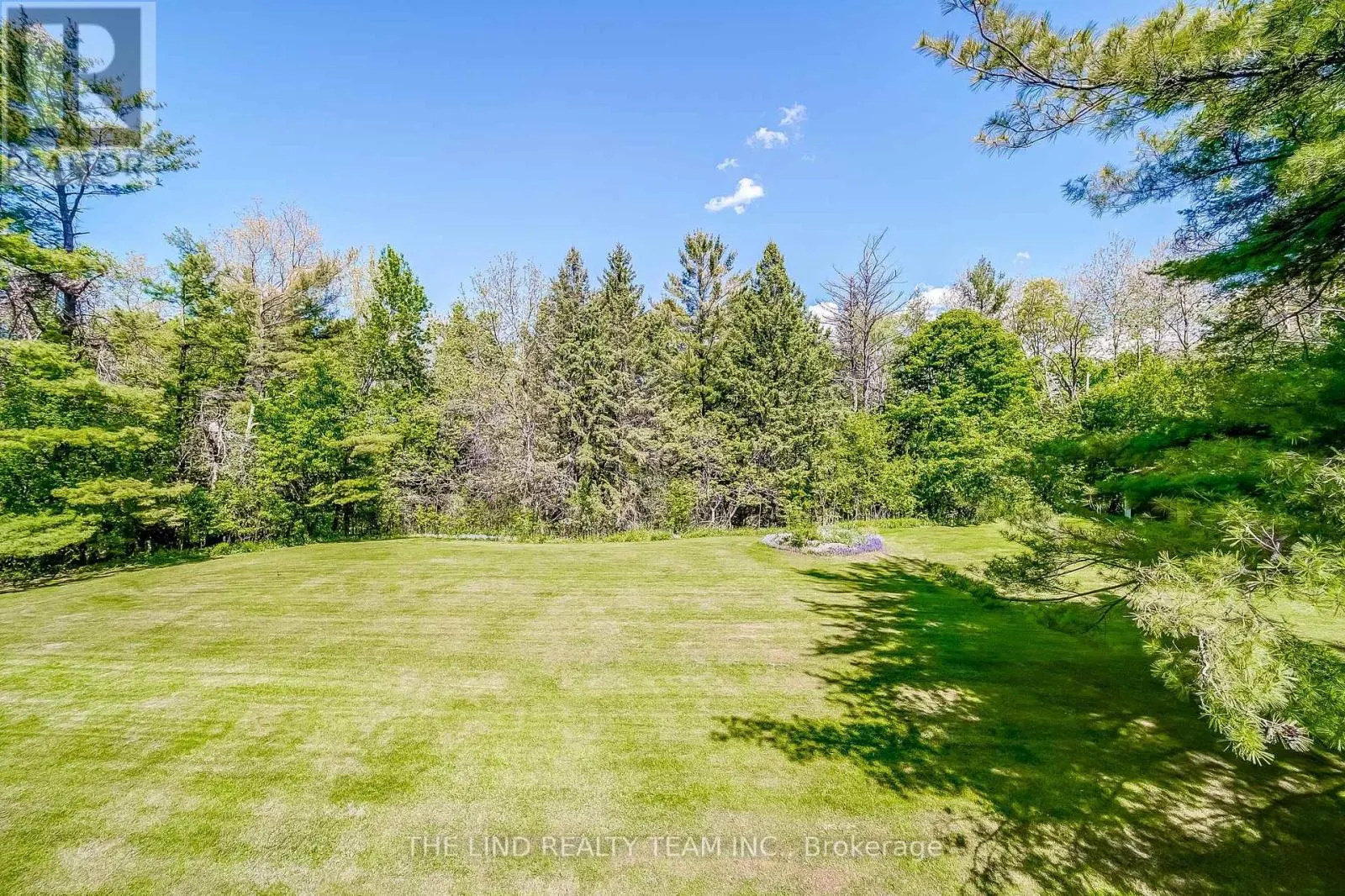 231 RIDGE ROAD