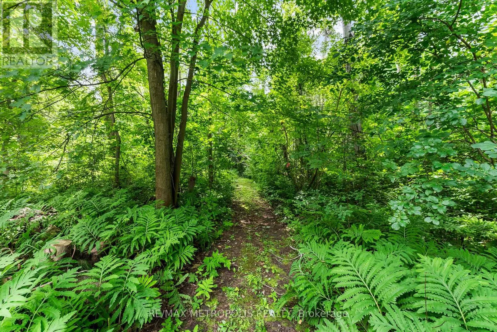 4359 LLOYDTOWN AURORA ROAD