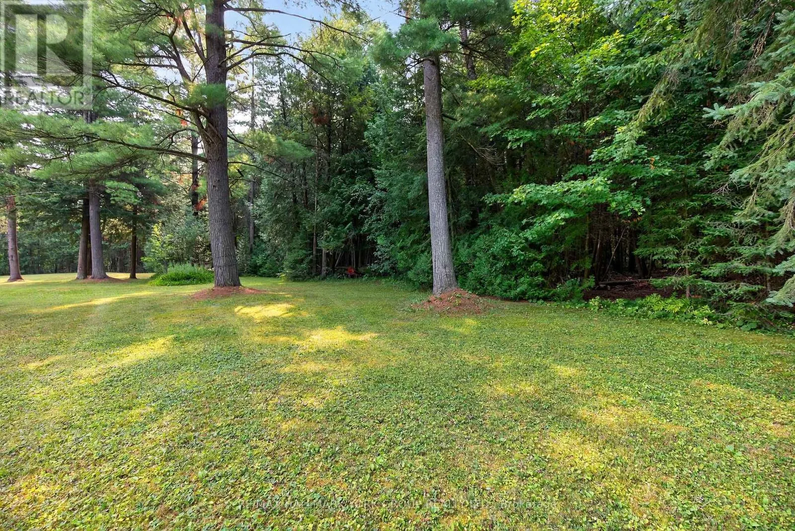 245 DAVIS DRIVE