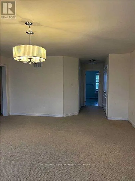 127 ALPACA DRIVE
